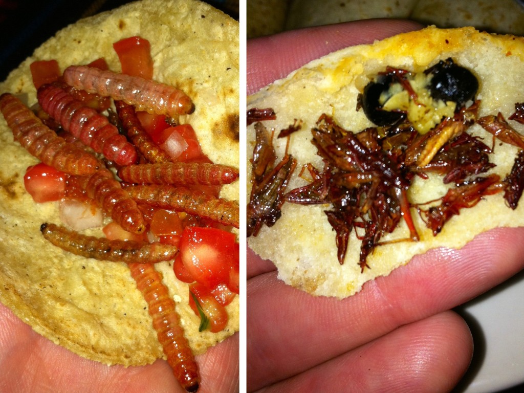 11 of the most exotic foods you've never tasted