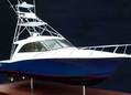 44' Cabo Hardtop Express_3