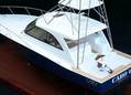 44' Cabo Hardtop Express_5