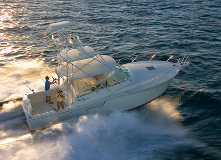 Albemarle 360XF
