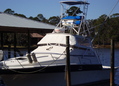 Small_picture_888