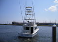 43' Viking Convertible- Blue Fever_2