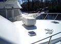 43' Viking Convertible- Blue Fever_4