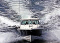 375 Pursuit Offshore- Only Bidder_2