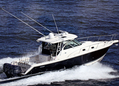 Small_mckenzie_pursuit_03
