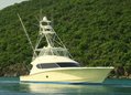 Small_gulf_rascal