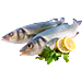 Chilled fish