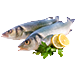 Fresh fish for gourmets