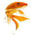 Fishkeeping