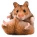 Rodents