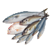 Fish and seafood