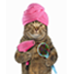 Уход и гигиена для кошек