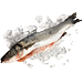 Frozen fish 