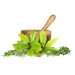 Medicinal herbs