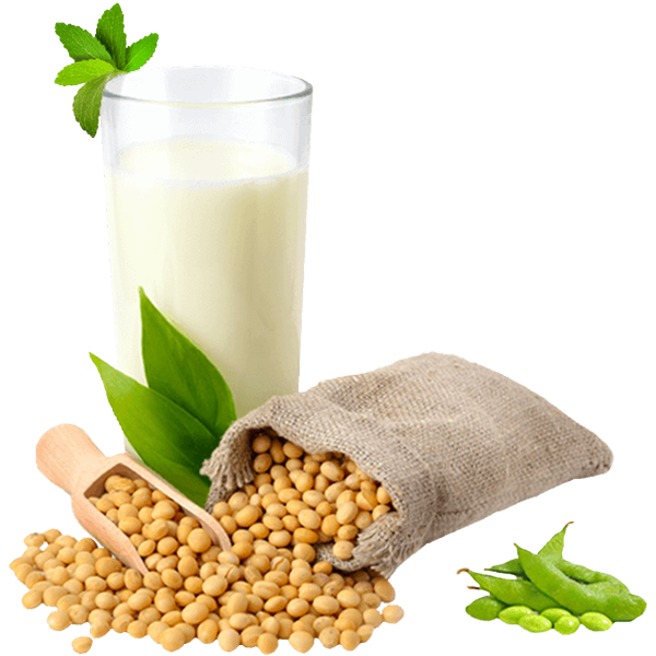 Соевые продукты