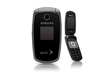 Sell your Samsung SPH-M300