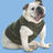 dan_newman's profile picture
