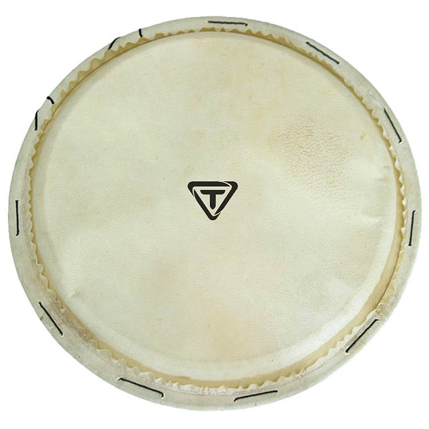Traditional Series Replacement Djembe Head 10 inch. 10 inch. TSAJ10RH