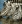 Exquisite Expeditions: Africa