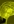 Sustainable Intelligence