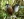 World Land Trust