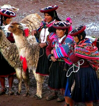 Exquisite Expeditions: Latin America
