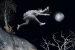 Contemporary Art / Tim White-Sobieski / Digital Print / Moon Catcher