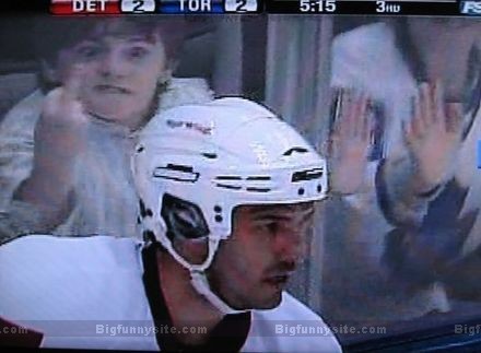 Funny Hockey Fans