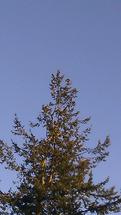 5210-resize