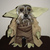 Yoda%20schnauzer