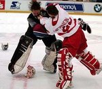 Goalie-fight