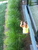 Photo-6