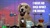 No_idea_dog