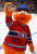 Kevin Segal Hockey Profile
