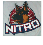 Nitro%20logo