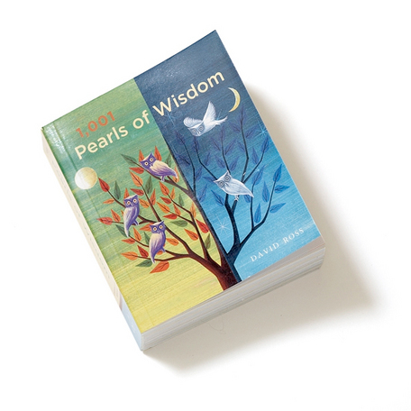 1001 Pearls of Wisdom