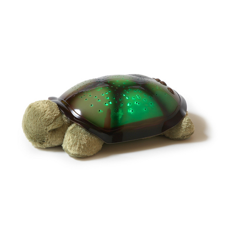 Twilight Turtle