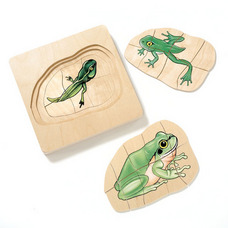 Beleduc Frog Puzzle 