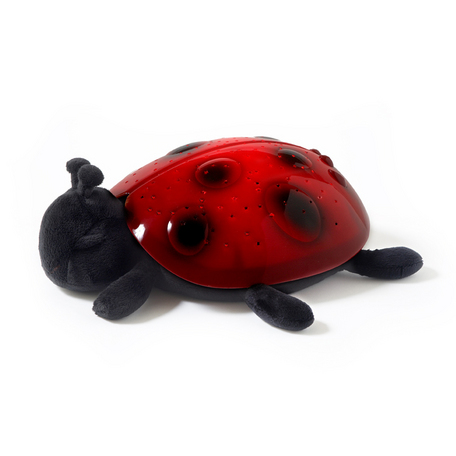 Twilight Ladybug