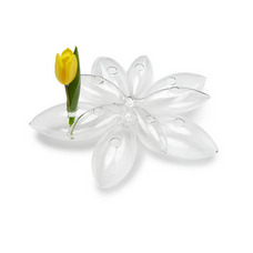 5 Petal Flower Vase 