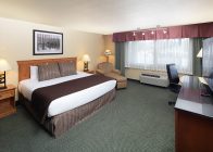 Premium King Bedroom