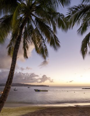 Windjammer Landing Fact Sheet
