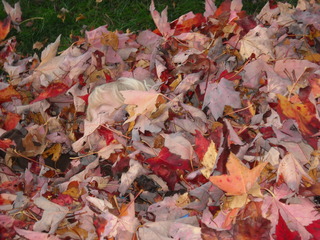 Photo_11876535_14937_14015233_ap