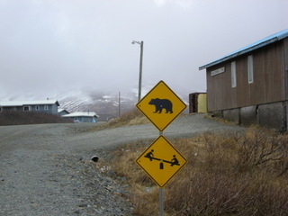 Bear-playground