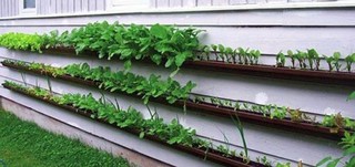 Guttergarden-550x259