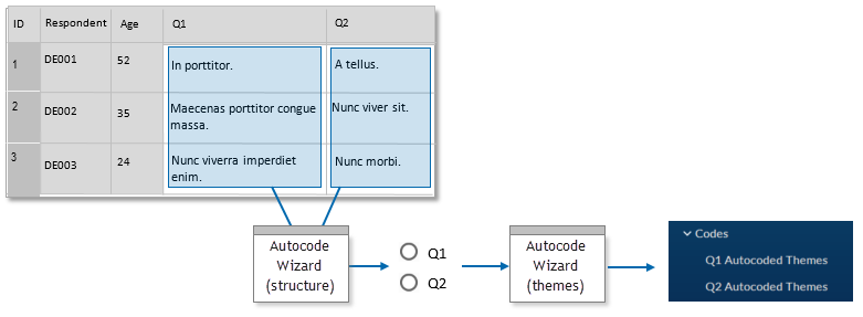Process for auto coding using the Survey Import wizard.