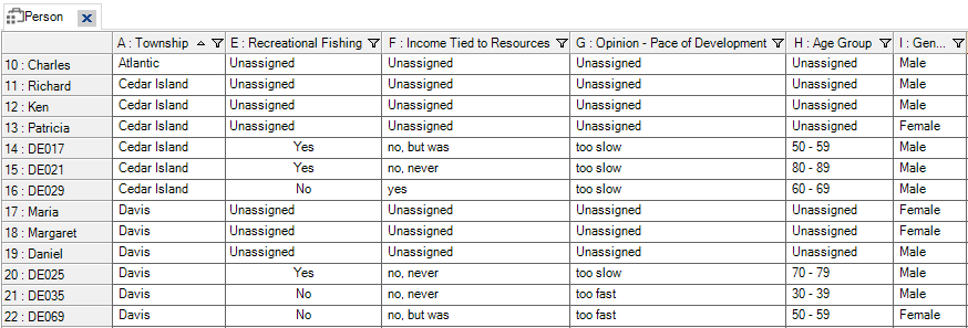 Participant classification sheet with cases and demographic information.