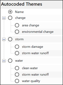 Auto coded themes displayed in List View.