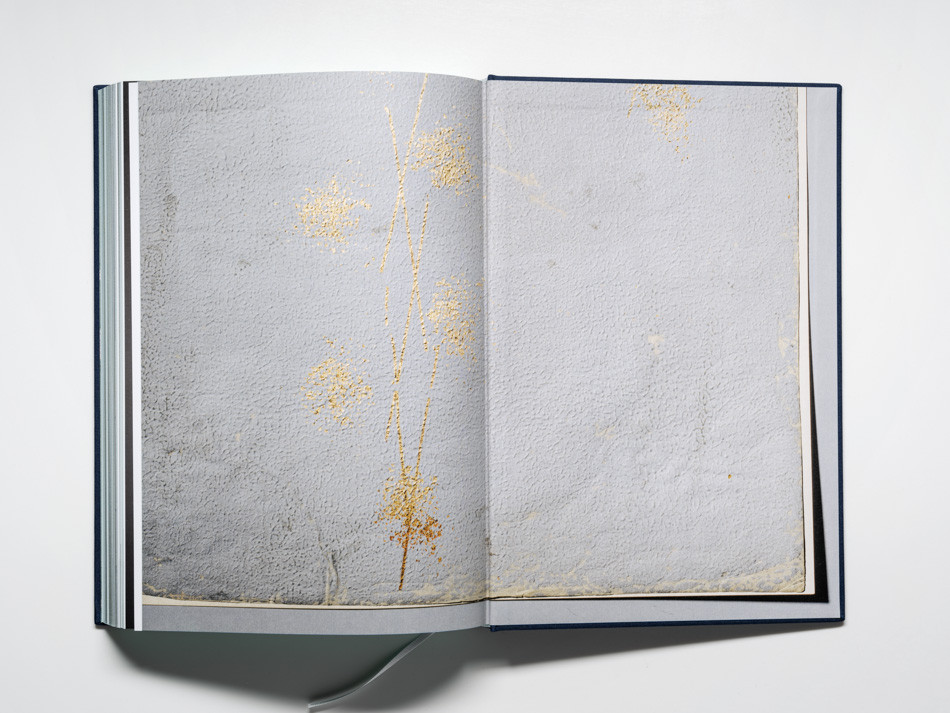 Henry Leutwyler: Books: The Tiffany Archives