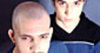 Infected-mushrooms_small_small